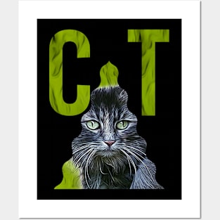 CAT - 16 Posters and Art